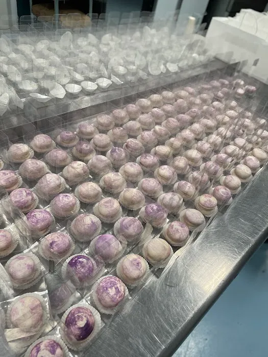 Ali's Macarons Picture 5