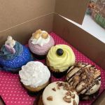 Smallcakes of Fort Myers