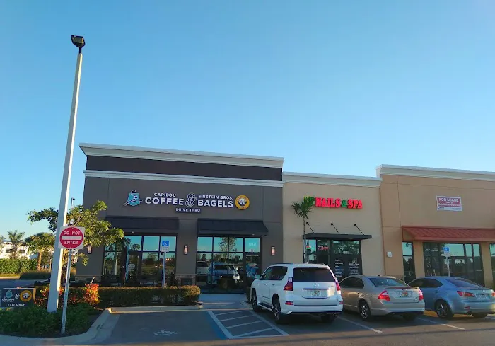 Einstein Bros. Bagels Picture 6