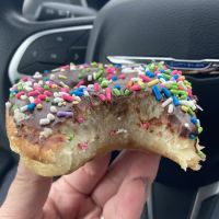 Darla's Donuts ico