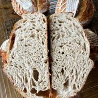 House of Bread SLC ico