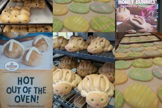 Great Harvest Bread Company