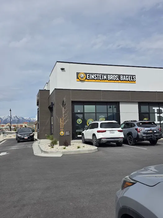 Einstein Bros. Bagels Picture 8