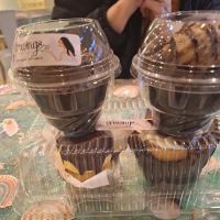 Cravings - Alisha's Cupcakes ico