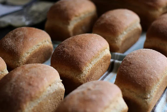 Bread by Erika Picture 10