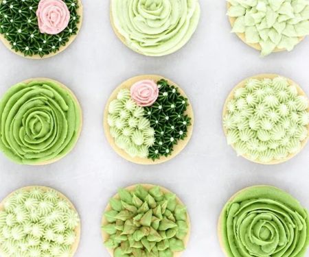 Cake Party Co