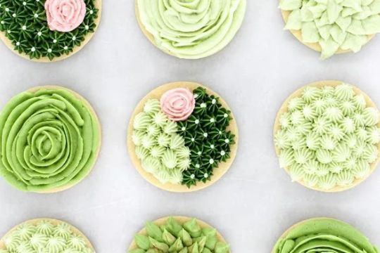 Cake Party Co