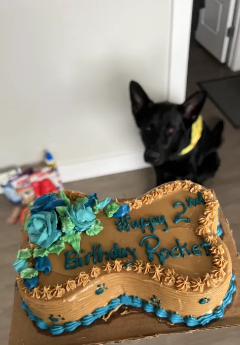 Roxy & Mya's Dog Bakery Picture 2