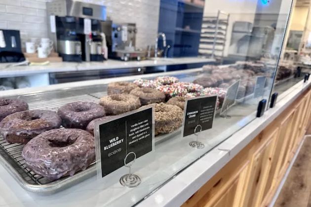 Bismarck Doughnuts