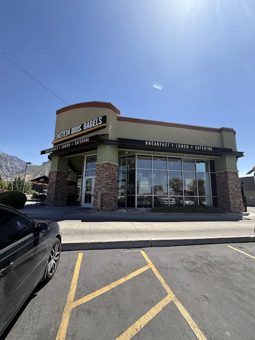 Einstein Bros. Bagels Picture 5