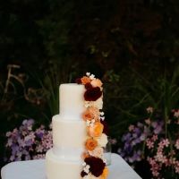Cakes by Camryn ico
