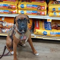 Stater Bros Bakery ico