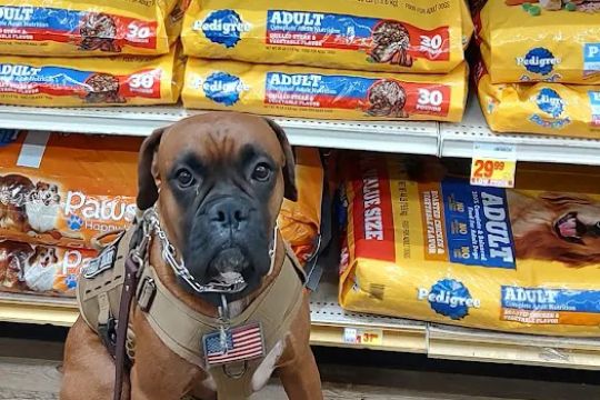 Stater Bros Bakery