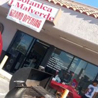 Highway 74 Donuts ico