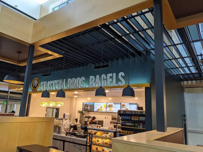 Einstein Bros. Bagels Picture 8