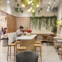 Paris Baguette ico