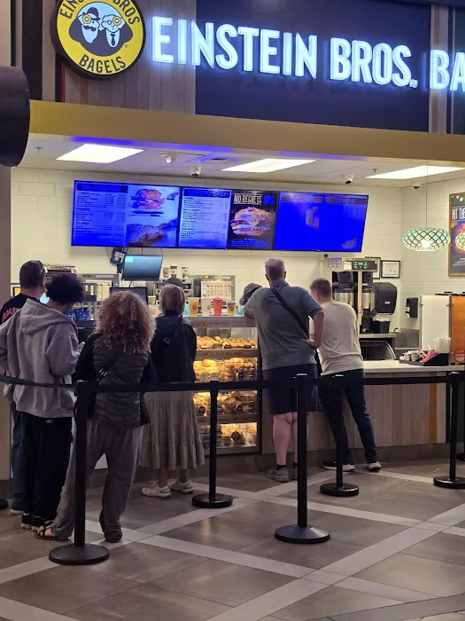 Einstein Bros. Bagels Picture 1