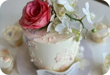 Nutriente Pastry Studio Picture 5