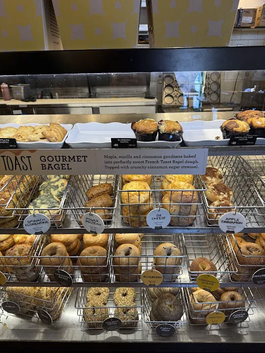 Einstein Bros. Bagels Picture 8