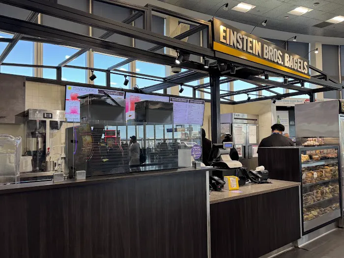 Einstein Bros. Bagels Picture 6