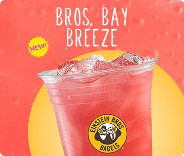 Einstein Bros. Bagels Picture 6