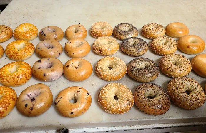 Bagel Bagel Picture 6