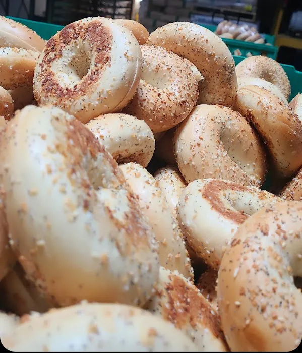 Bagel Bagel Picture 4