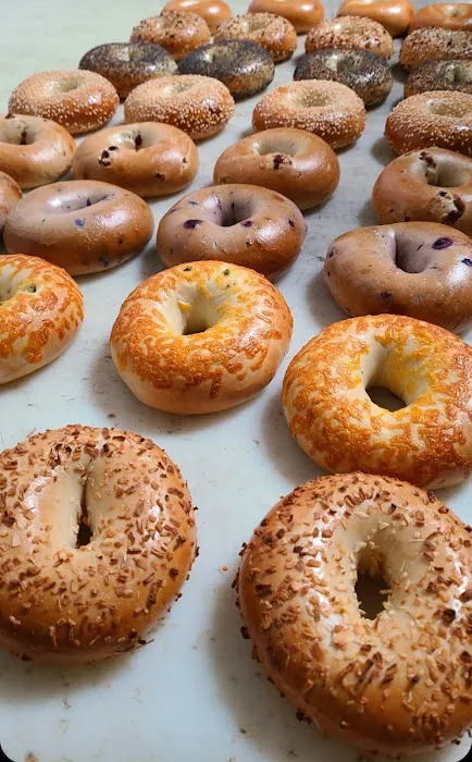 Bagel Bagel Picture 5