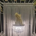 DOLCE GIERBOLNI BAKERY