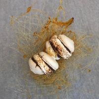 Comfi Cookie ico