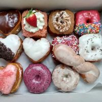 The Vegan Doughnut Company ico
