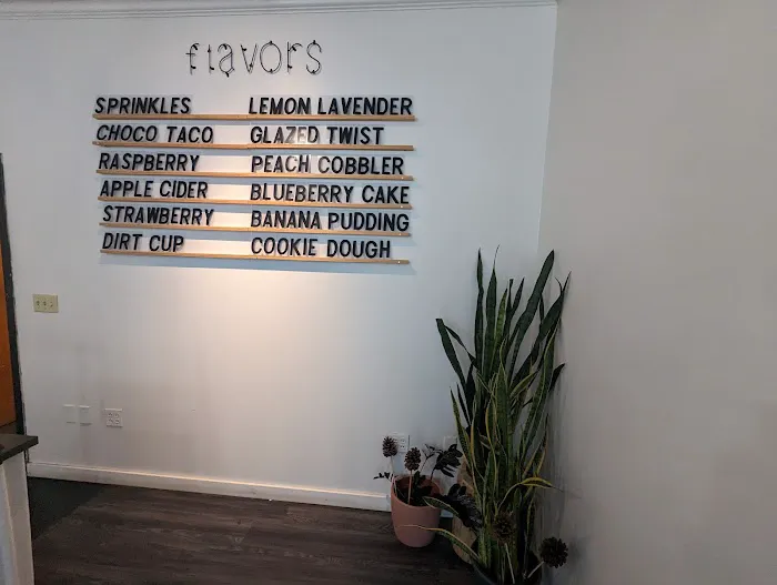 The Vegan Doughnut Company Picture 2