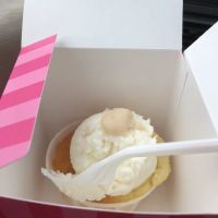 Grandma Campbell's Cupcakes ico