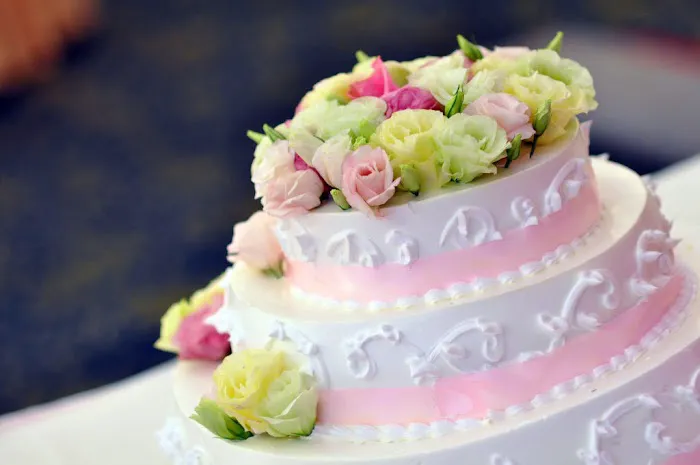 Nadine's Cake and Candy Supply Picture 6