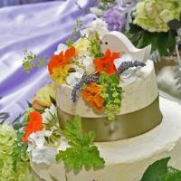CAKES AND DESSERTS BY MICHELE LLC ico