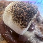Ellie-May's Gourmet Cookies