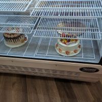 Koko Bakery ico