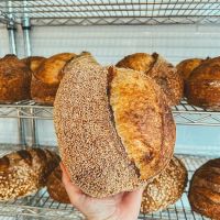 Atticus Bread Company ico