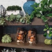 BLOOM bakery + Cafe ico