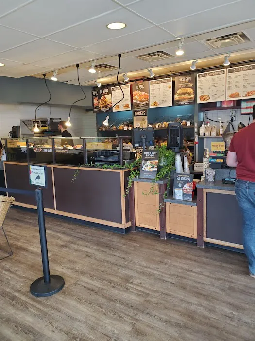 Einstein Bros. Bagels Picture 2