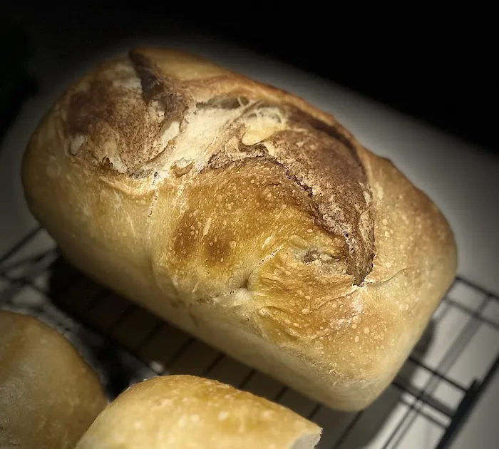 The Yeast Lab Picture 5