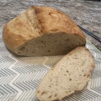 Simply Sourdough George ico