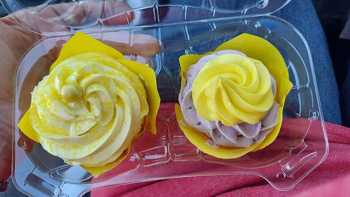 Sunshine Cupcakes Etc Picture 9