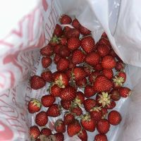 Front Yard Market ico