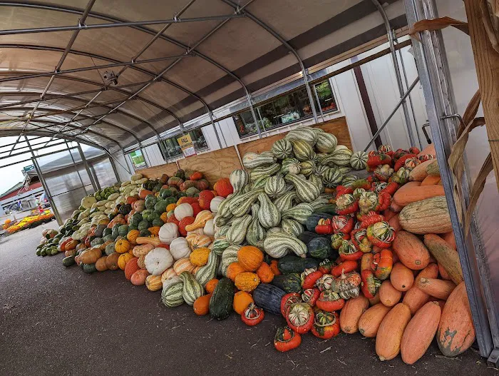 Hershberger's Farm and Bakery Picture 5