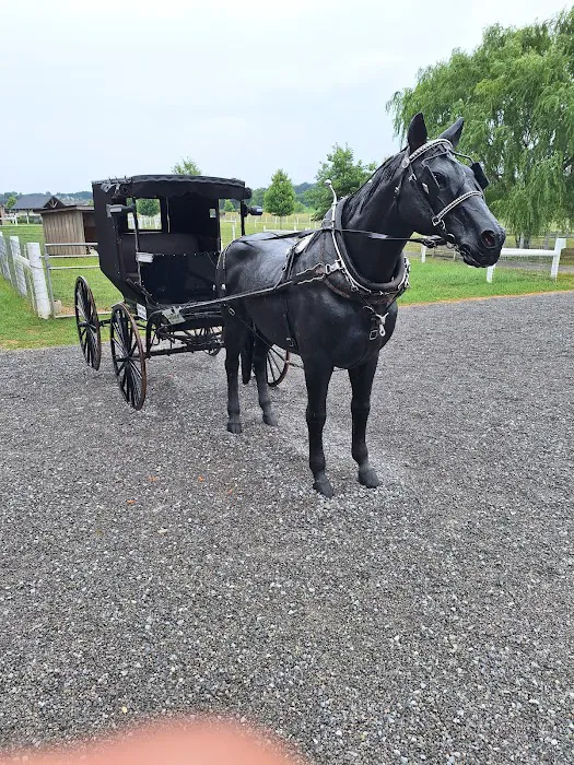 Hershberger's Farm and Bakery Picture 10