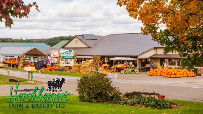 Hershberger's Farm and Bakery Picture 8