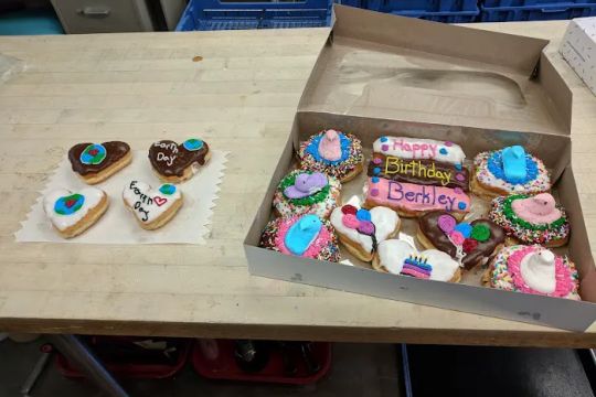 Mary Ann Donuts Shop