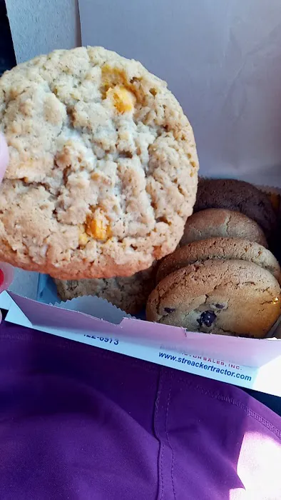 Cookie Lady Picture 2