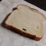 Heiner's Bakery Inc